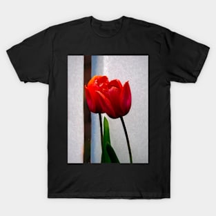 Red Tulips T-Shirt